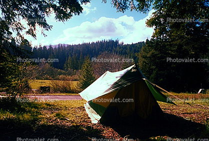 Tent, Avenue of the Giants Campground