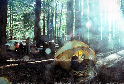 Avenue of the Giants Campground