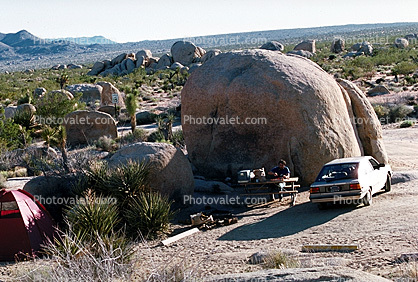 Campsite, Camping, boulders, Car, Joshua Tree National Monument