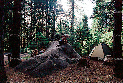 Tent, Boulder, Trees, Forest