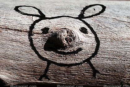 Pig Face, cute, funny, nose, ears, smile, happy face, Pareidolia