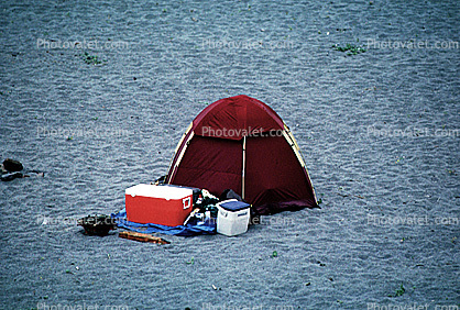 Singular Tent, Sandy Beach, Cooler