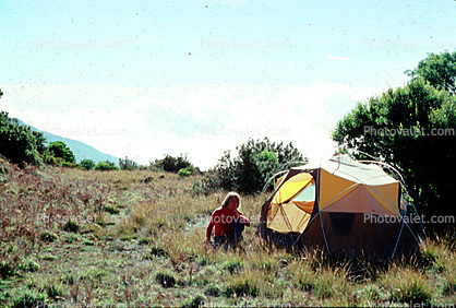 Geodesic Dome, Tent