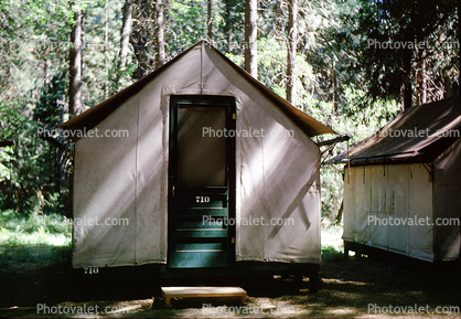 Cabin Tent, 710