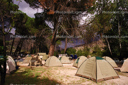 Tents, Forest, South Africa