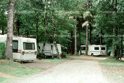 Forest, Trees, Road, FLAIR Motorhome, Bay Center KOA Camground, Washington, August 1994