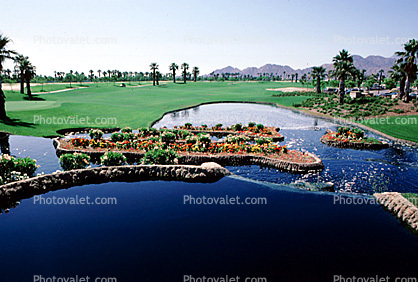Water, Pond, Lake, Palm Desert, California