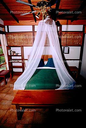 Bed with Mosquito Netting, Fan