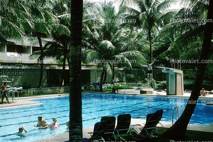 Swimming Pool, Poolside, Water, Palm Trees, Exterior, Outside, Swimmers