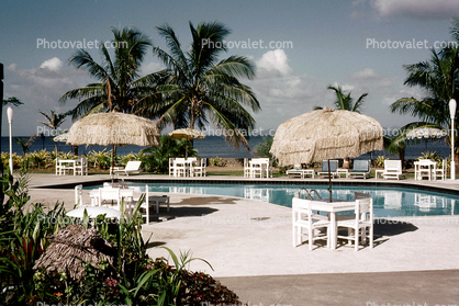 Empty, Pool, Poolside, Grass Thatched Parasol, Tables, Palm Trees, 1950s, Sod