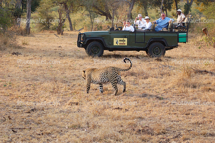 Eco-Tourism, Africa