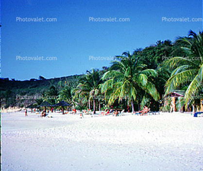 Beach, Sand, Palm Trees, Carribean Beach Club, Saint Johns Antigua, 1968, 1960s