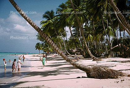 Beach, Sand, wading, Palm Trees, Tobago, Palm Tree on the Beach, Women Strolling, Ocean, January 1973, 1970s