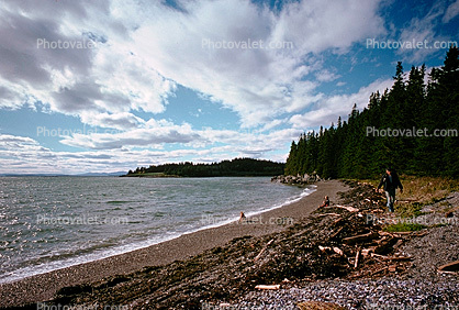 Beach, Pebbles, forest, Penobscot Bay