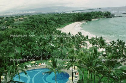 Pacific Ocean, Palm Trees, Beach, sand, swimming pool