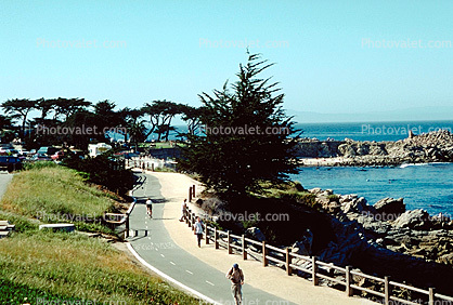 Bike Path on the Coastline of Monterey, 1980s