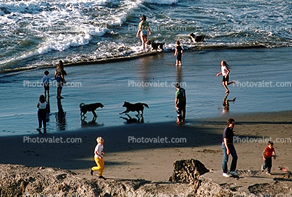 Beach, sand, water, People and Dogs, Ocean Beach, 1980s