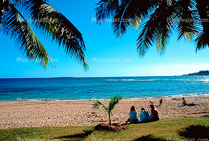 Beach, Ocean, Peaceful, Idyllic Beach, Sand, Water, Noumea New Caledonia, Equanimity