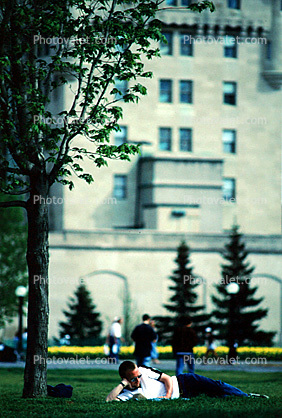 Man reading on a lawn, Ottawa, Canada