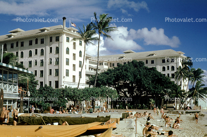 Waikiki Beach, Palm Tree, Hotel