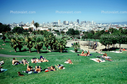 Dolores Park, People, Resting, Palm Trees
