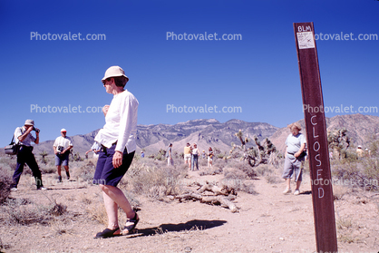 Crowds, Mojave Desert, California