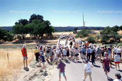 Crowds, Tourist Group, Parkfield Bridge over Little Cholame Creek, California