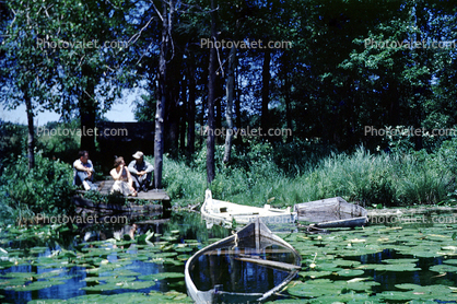 Water Lilies, pads, toadstools, boat, dock, pond, 1950s
