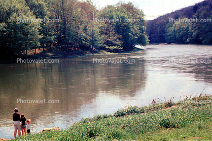 Brothers and Sisters, Trees, Clarion River, Cook Forest, 1950s