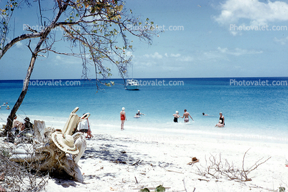 tropical beach, sand, water, tree, Grande Anse Beach, Grenada, 1979, 1970s