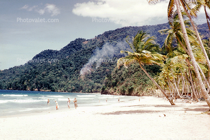 tropical beach, sand, water, palm tree, cove, Maracas Bay, Trinidad, 1969, 1960s
