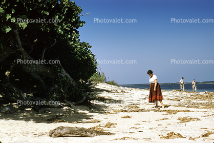 Beach, Tree, Sand, Woman, Dress, Ocean, Veracruz, Mexico, 1950s