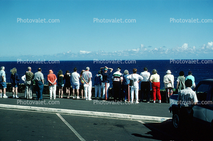 Whale Watching, Kauai, 1995, 1950s