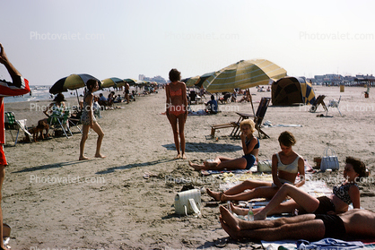 Sand, Beach, Umbrellas, 1963, 1960s