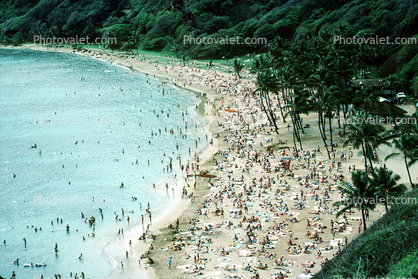 crowds, crowded, water, beach, sand, palm trees, coastal, coast, shoreline, seaside, coastline, 1985, 1980s
