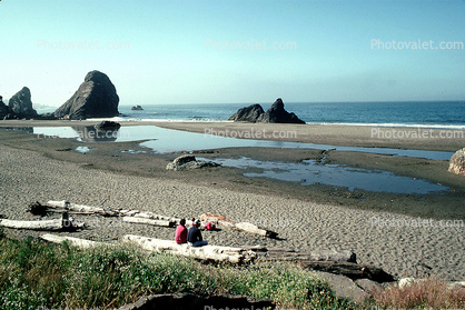 Driftwood, Beach, Sand, Ocean, Brooking, Oregon