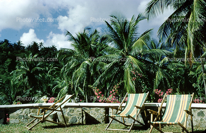 Lounge Chairs, Coconut Palm Trees, Barbados, 1950s