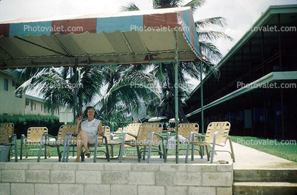 Woman, Sitting, Chairs, Palm Trees, 1950s