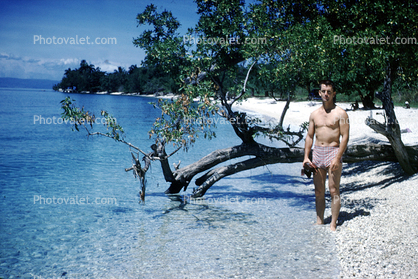 Man, Male, Beach, tree in the water, 1950s