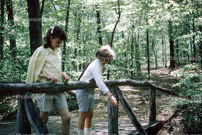 Girls, Sisters, Forest, Path, 1965, 1960s