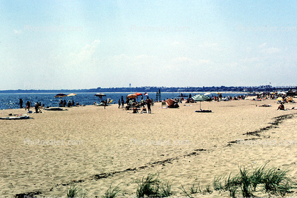 Beach, Sand, Water, Sandy, Craigville Beach, Cape Cod, 1966, 1960s