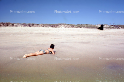 woman, beach, sand, bikini, dog