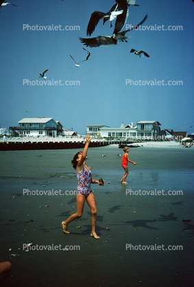 Boy on the Beach with Seagulls