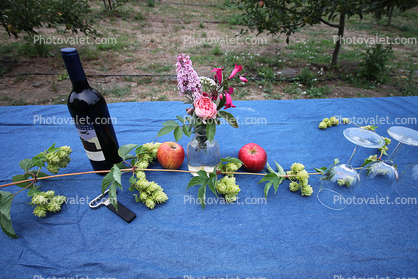 Picnic Bench, Basket, Wine, Hops