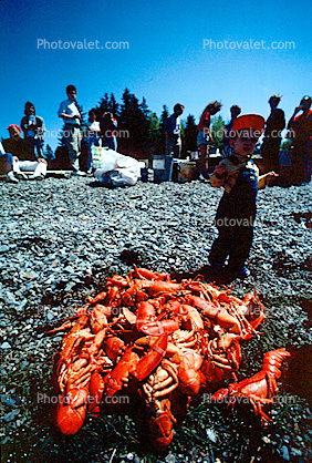 Lobster Feast, Bear Island, Penobscot Bay, Maine