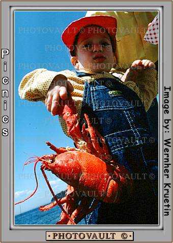 Bear Island, Lobster Feast, Penobscot Bay, Maine