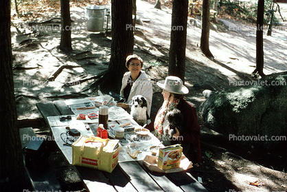 Picnic Basket, Table, women, forest, September 1973, 1970s