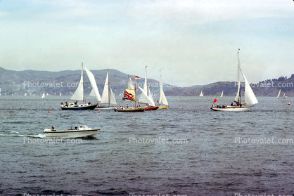 Sailboats, Marin County, 1950s