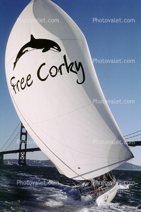 Free Corky