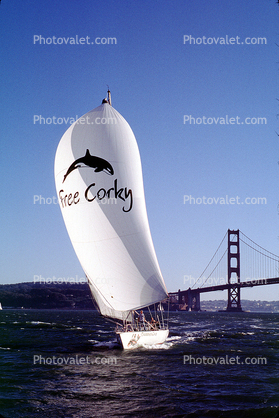 Free Corky, Golden Gate Bridge